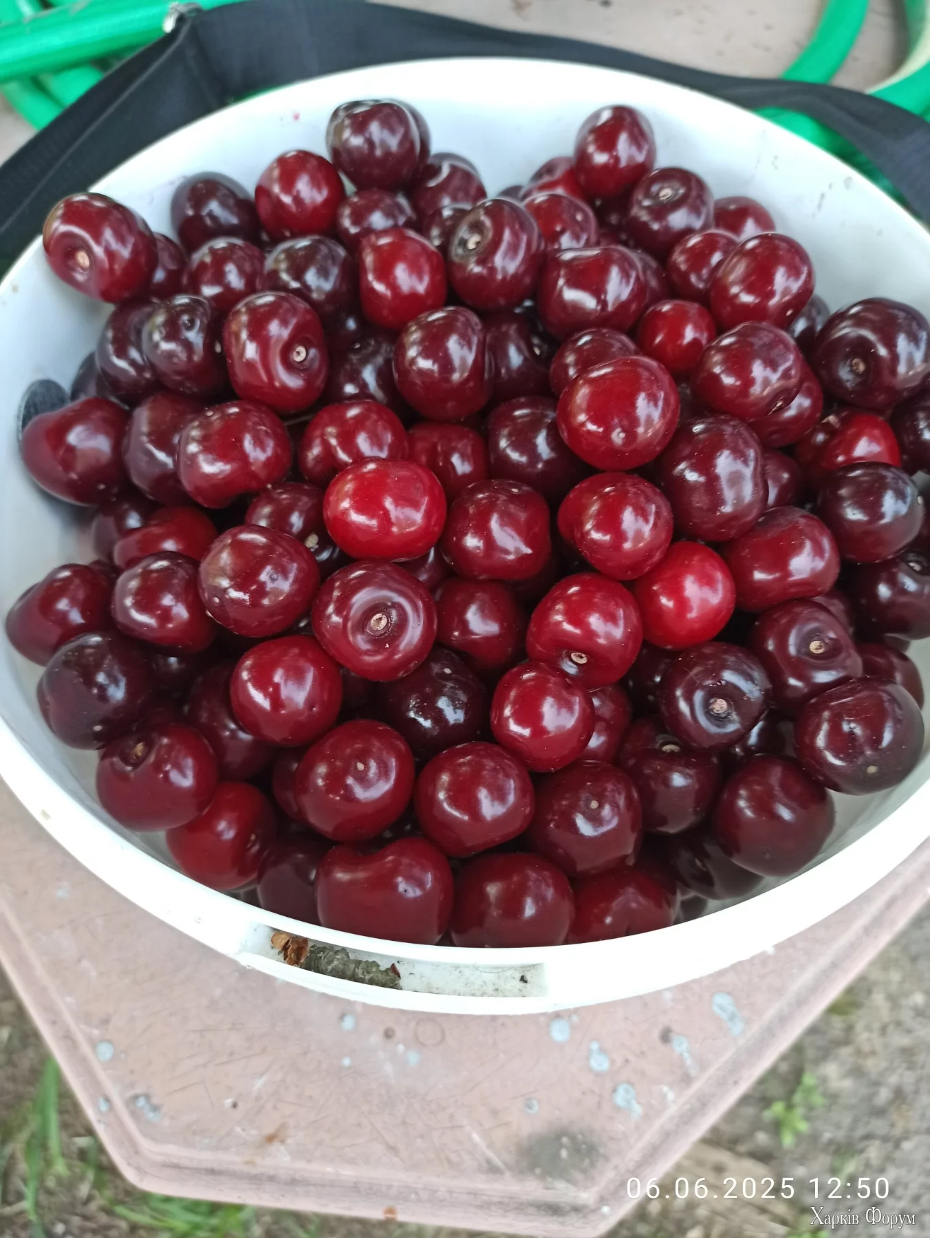 IMG-52465f4187031c66ec5df3b7168340a7-V.webp