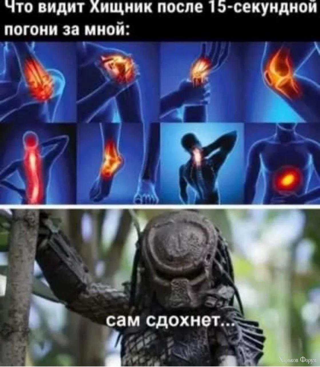 IMG-5ad69d69097998e6004e0a8b12edc59d-V.webp