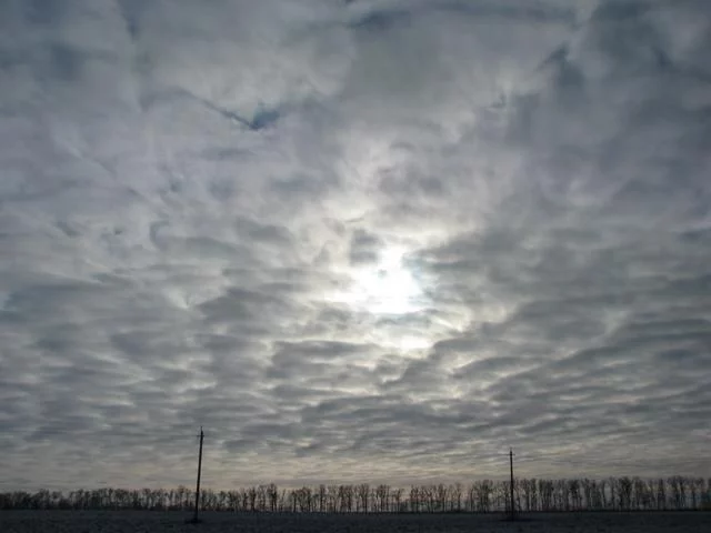 IMG-6059.webp