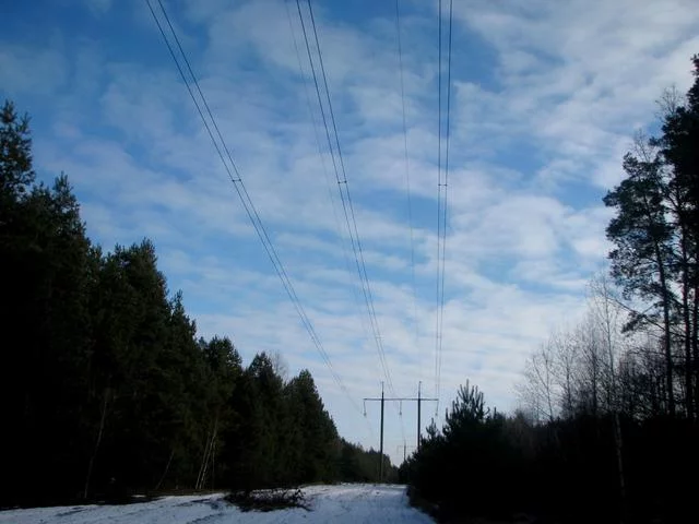 IMG-6062.webp