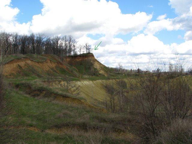 IMG-6579.jpg