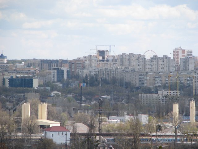 IMG-6596.jpg