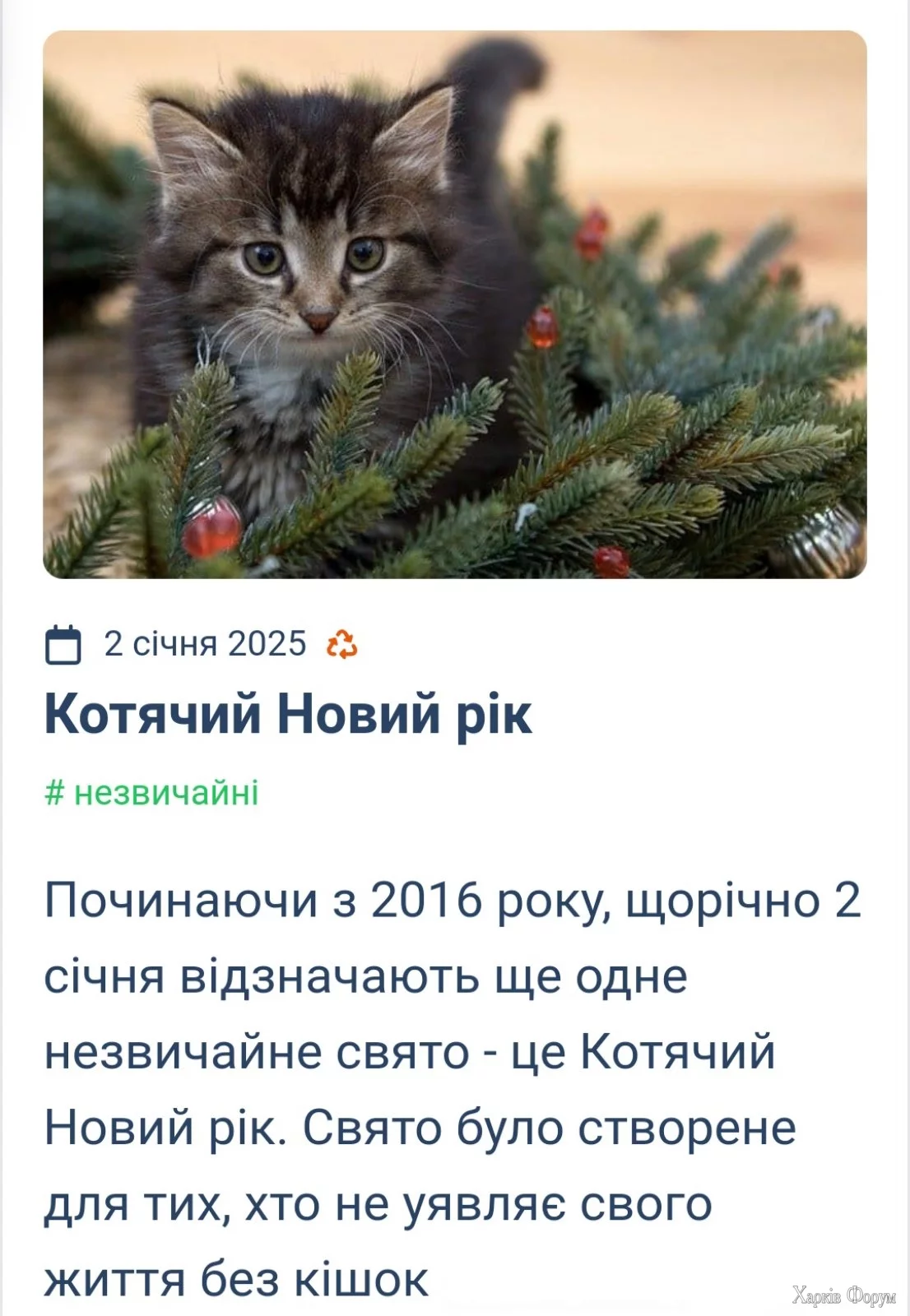 IMG-7296456e0bfcbd8affa1764c126a55b1-V.webp