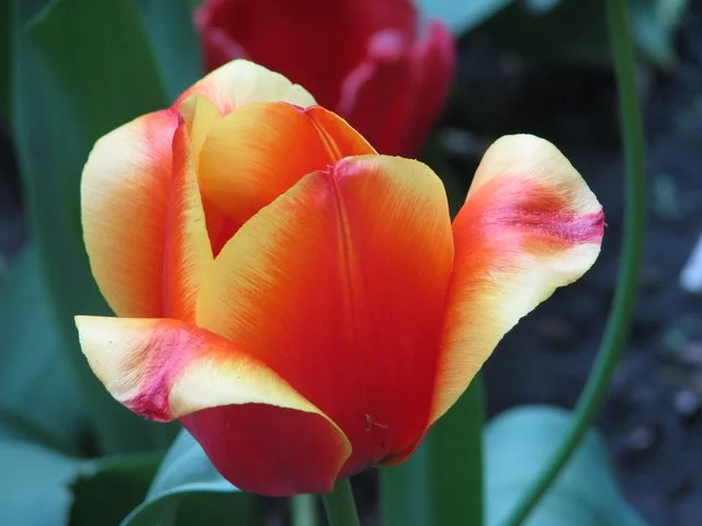 IMG-7313.webp