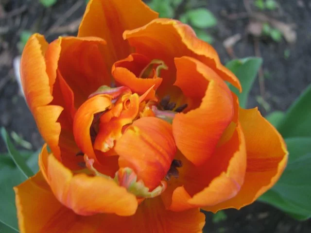 IMG-7329.webp