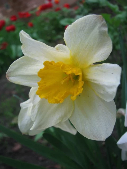 IMG-7343.webp