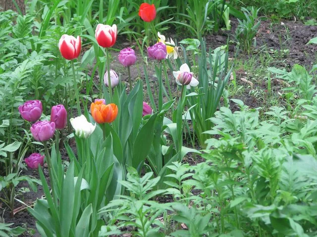 IMG-7348.webp