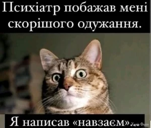 img-7f85dfdd89ad8f96496408746f24419b-v.webp