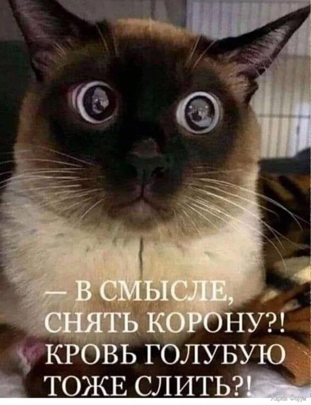 IMG-debb40239c877fb1e2eabd07dd640d10-V.webp