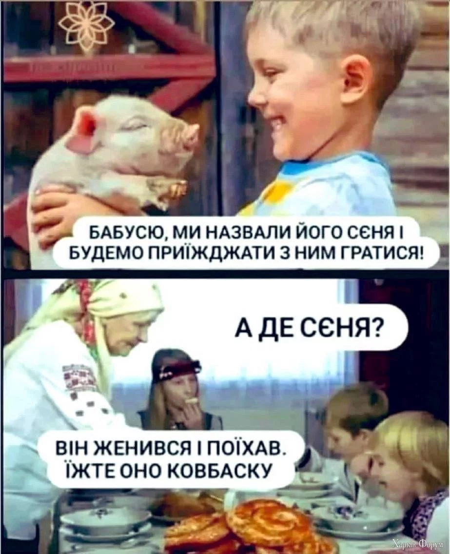 IMG-e2169e3f6deedbbb95e17941d9e3d4cd-V.webp