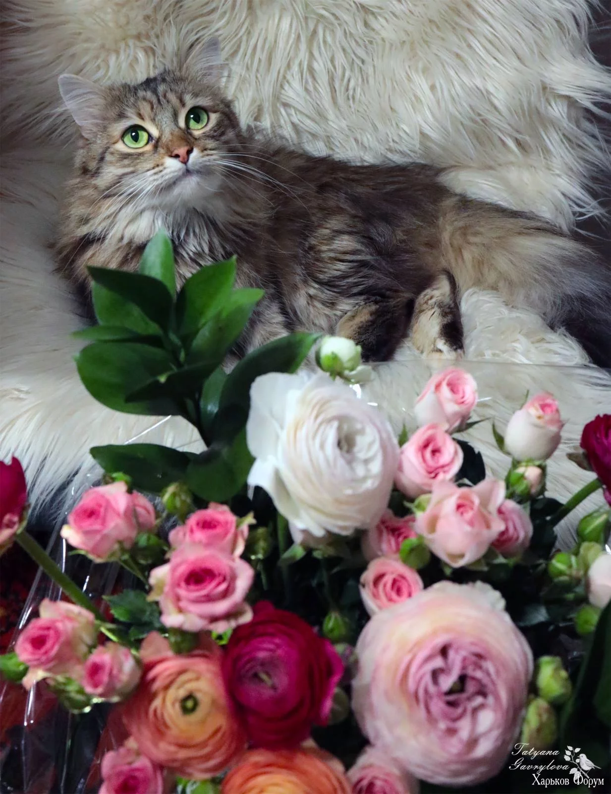 IMG-f9cb2051221094146eb7dfe7a7c1c5c5-V.webp