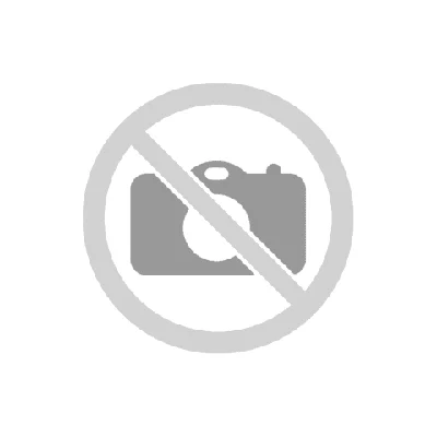 img.webp