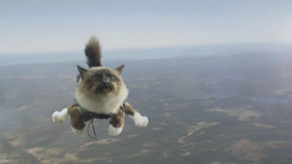 img11_nnm_ru_0_c_d_1_5_d500cd264959f24369e79af08d6.gif