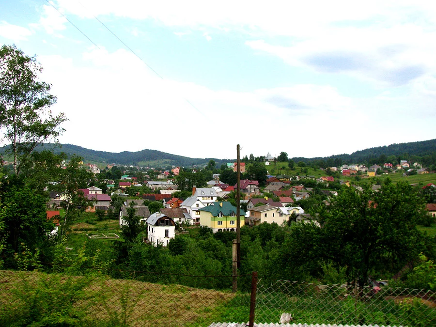 img3054v.webp