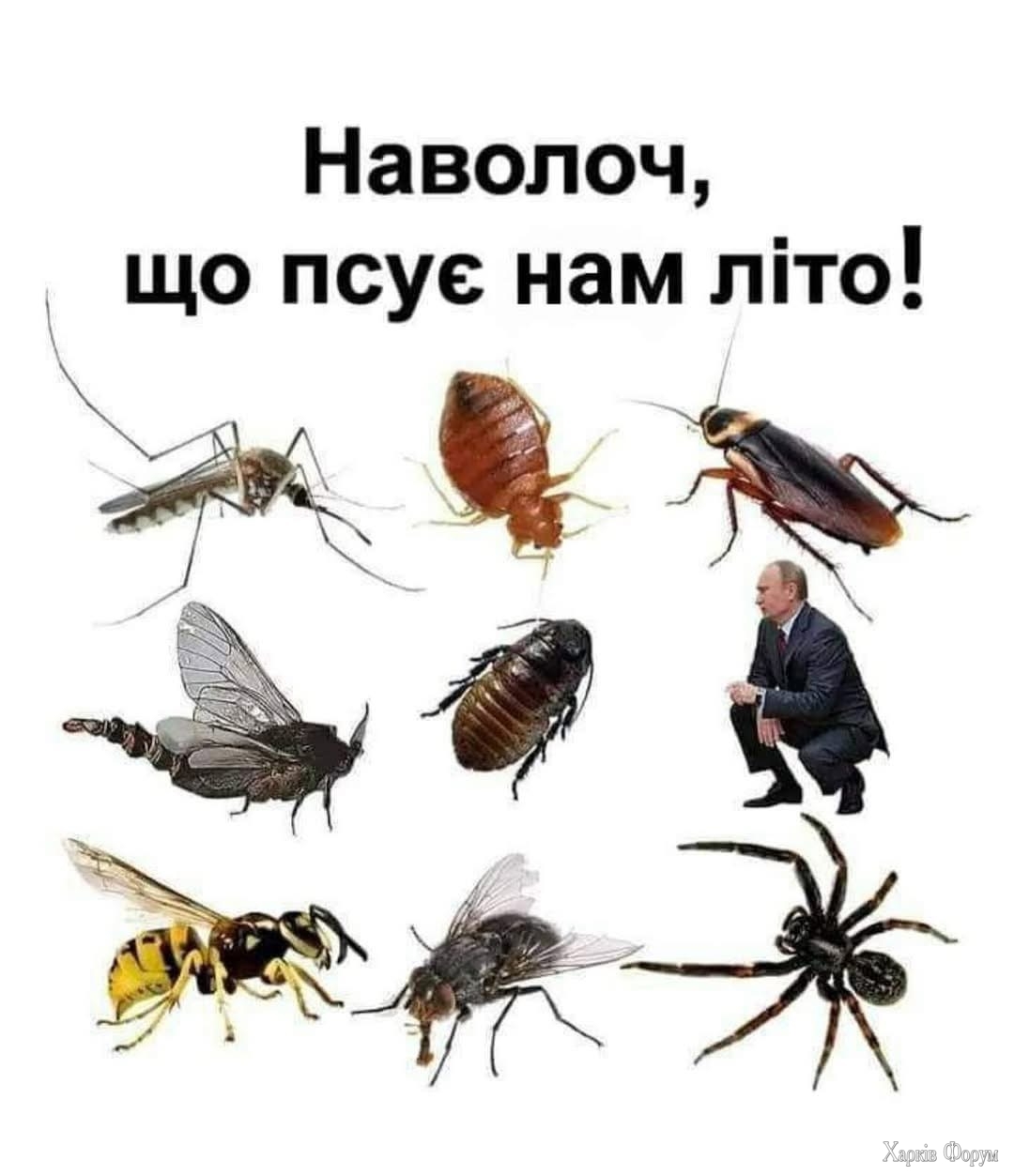 IMG_0043.jpeg