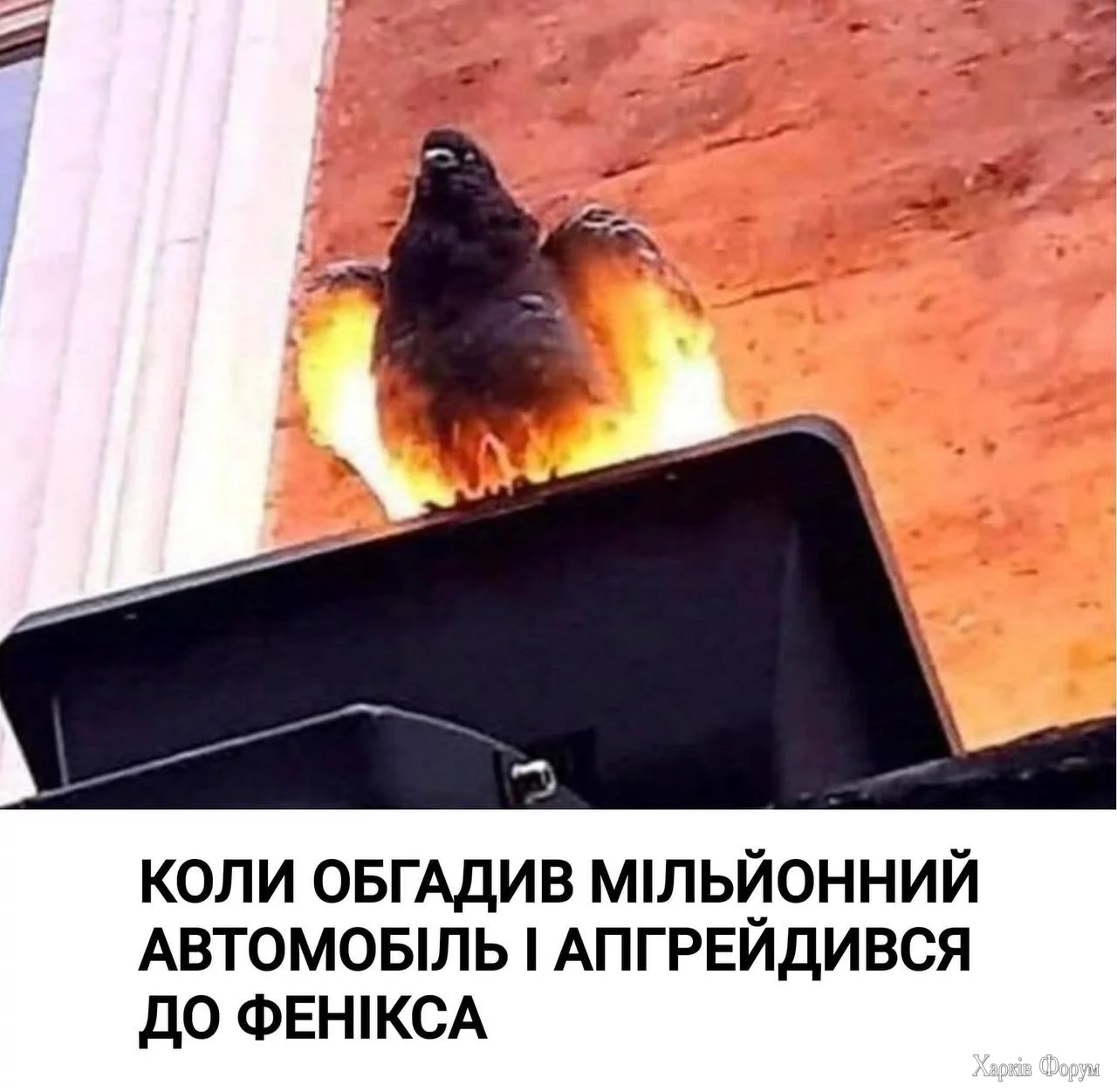 IMG_0044.jpeg