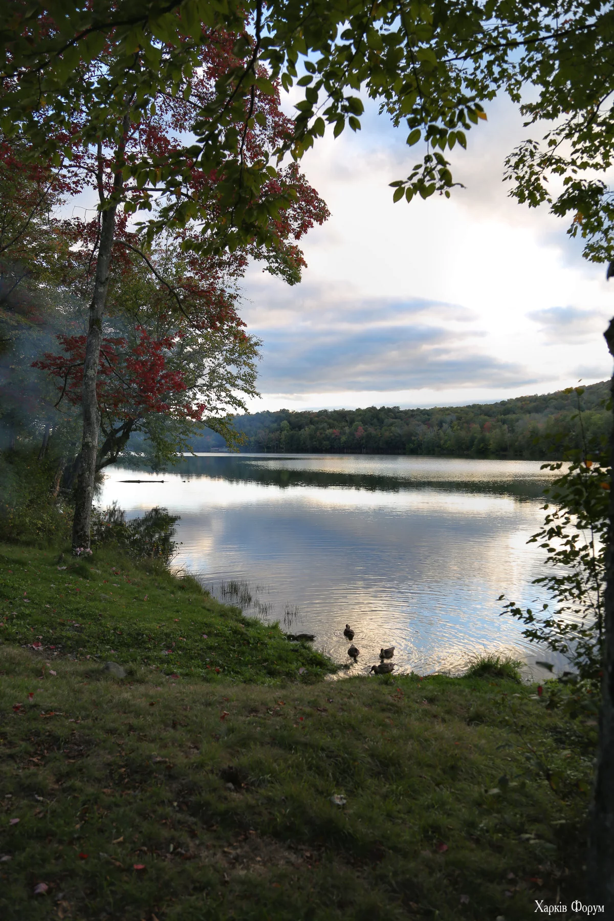 IMG_0099.webp