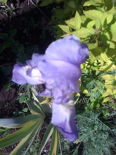 IMG_0103.webp