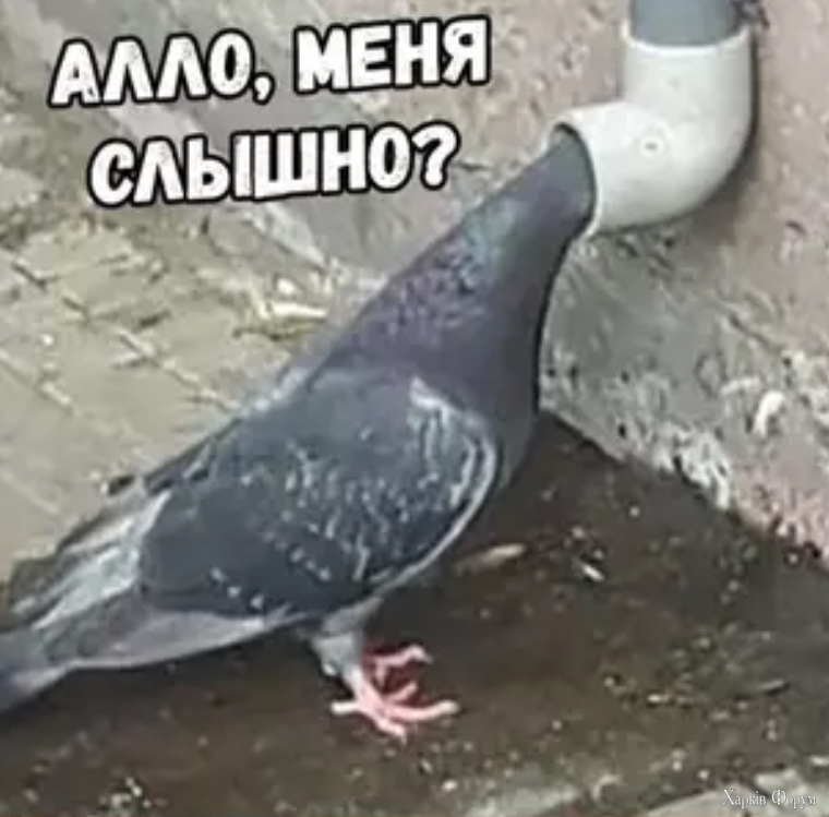 IMG_0379.jpeg