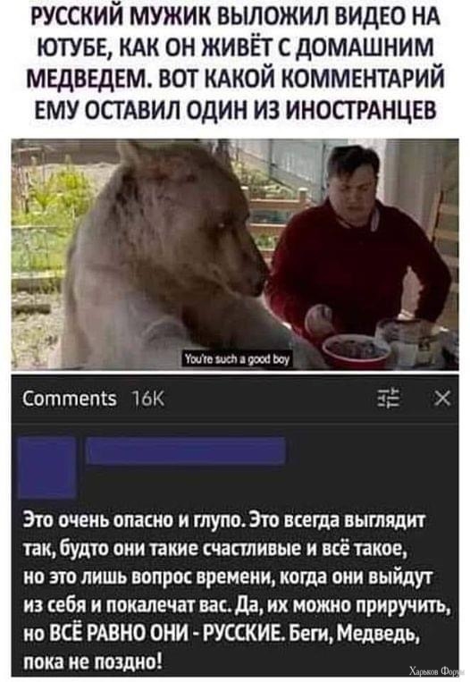 IMG_0384.jpeg