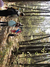 IMG_0395.webp