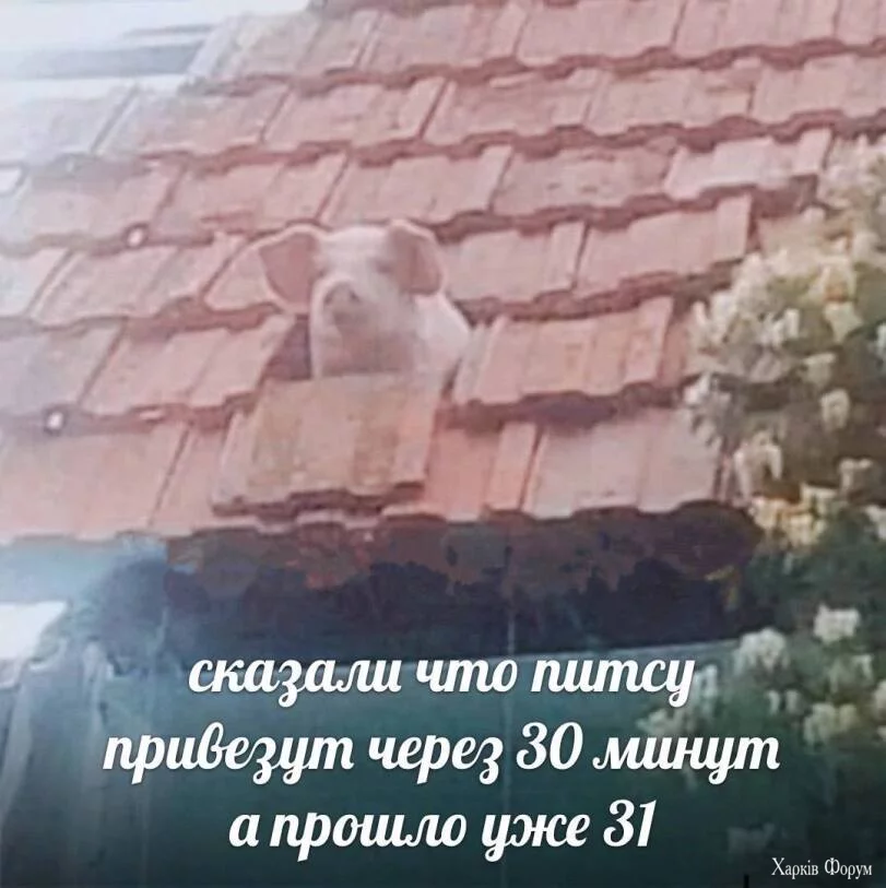 IMG_0654.webp