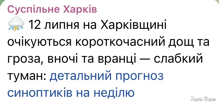 IMG_0918.webp