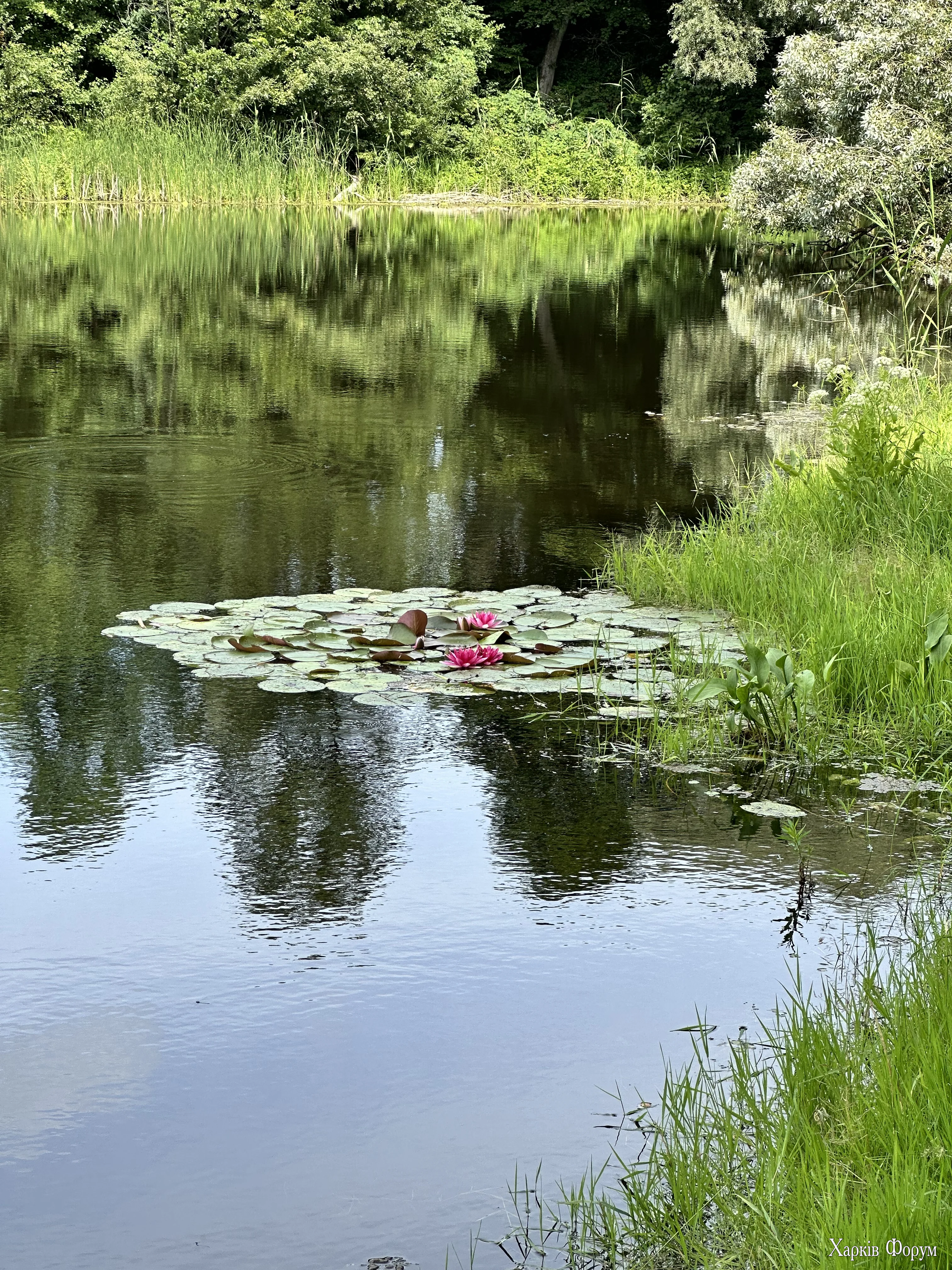 IMG_0970.webp