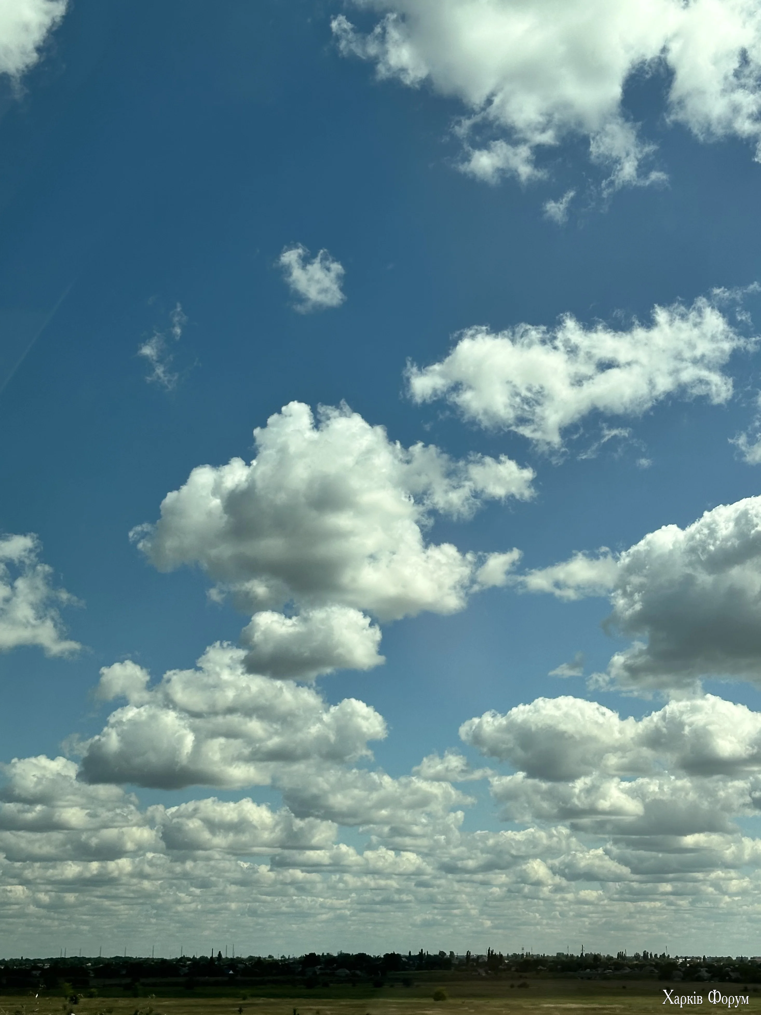 IMG_1112.webp