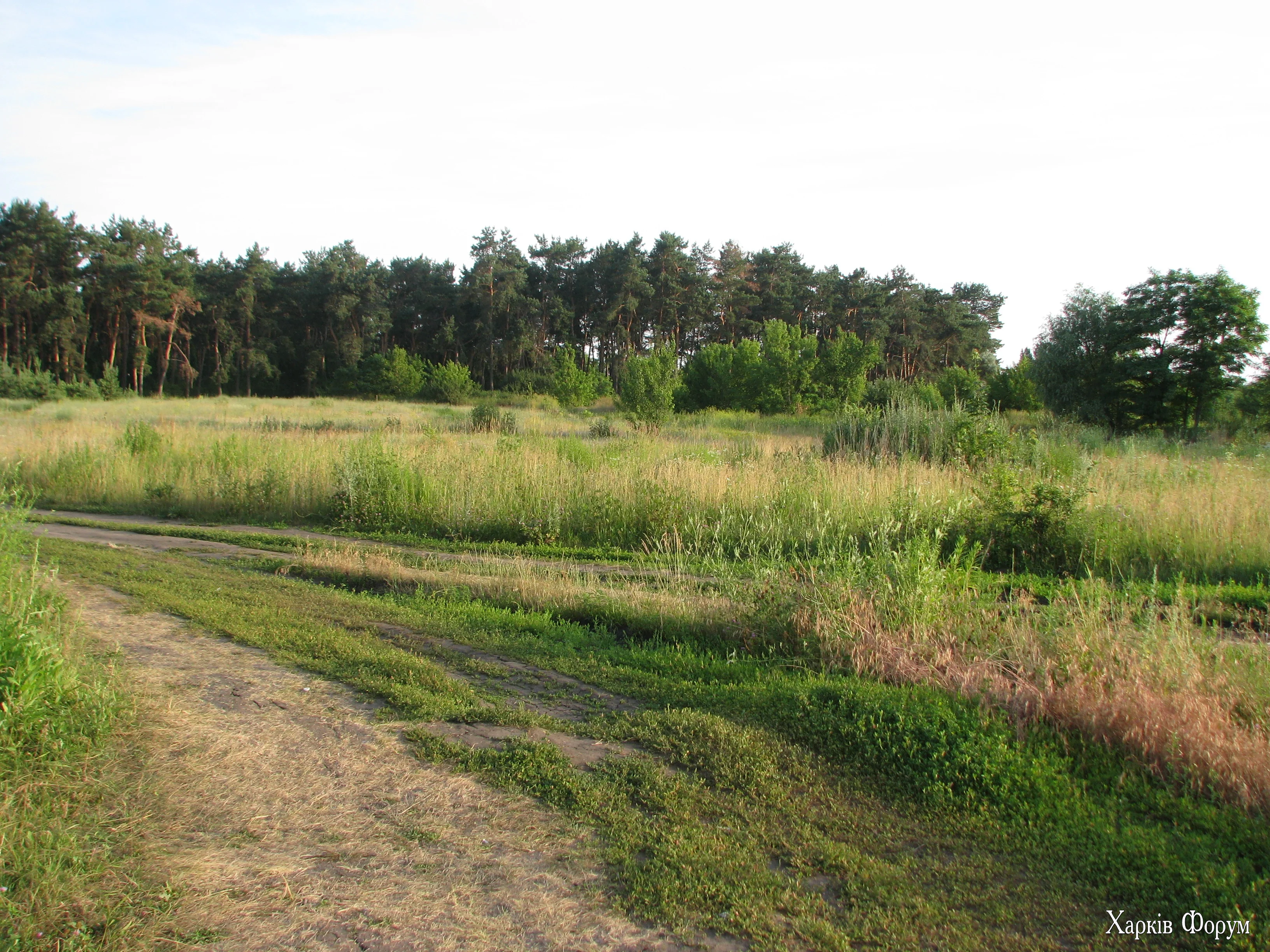 IMG_1122.webp