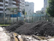 IMG_1185.webp