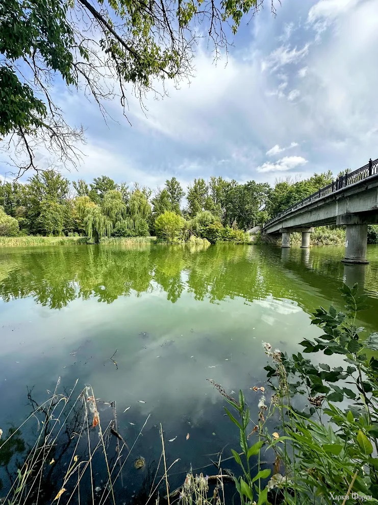 IMG_1190-EDIT.webp