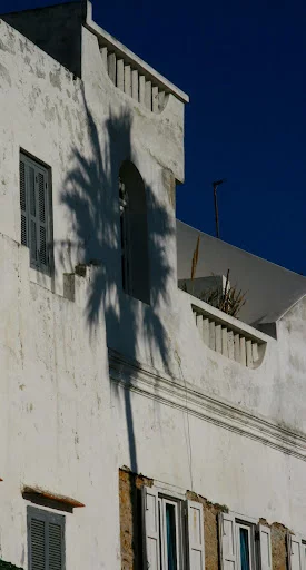 IMG_1440.webp