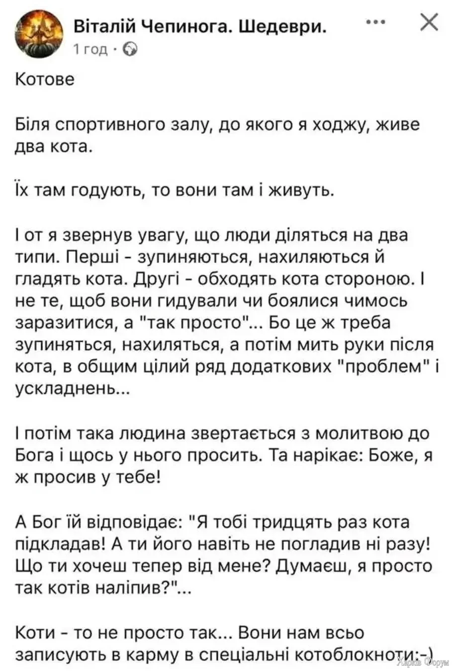 img_1_1743258632769.webp