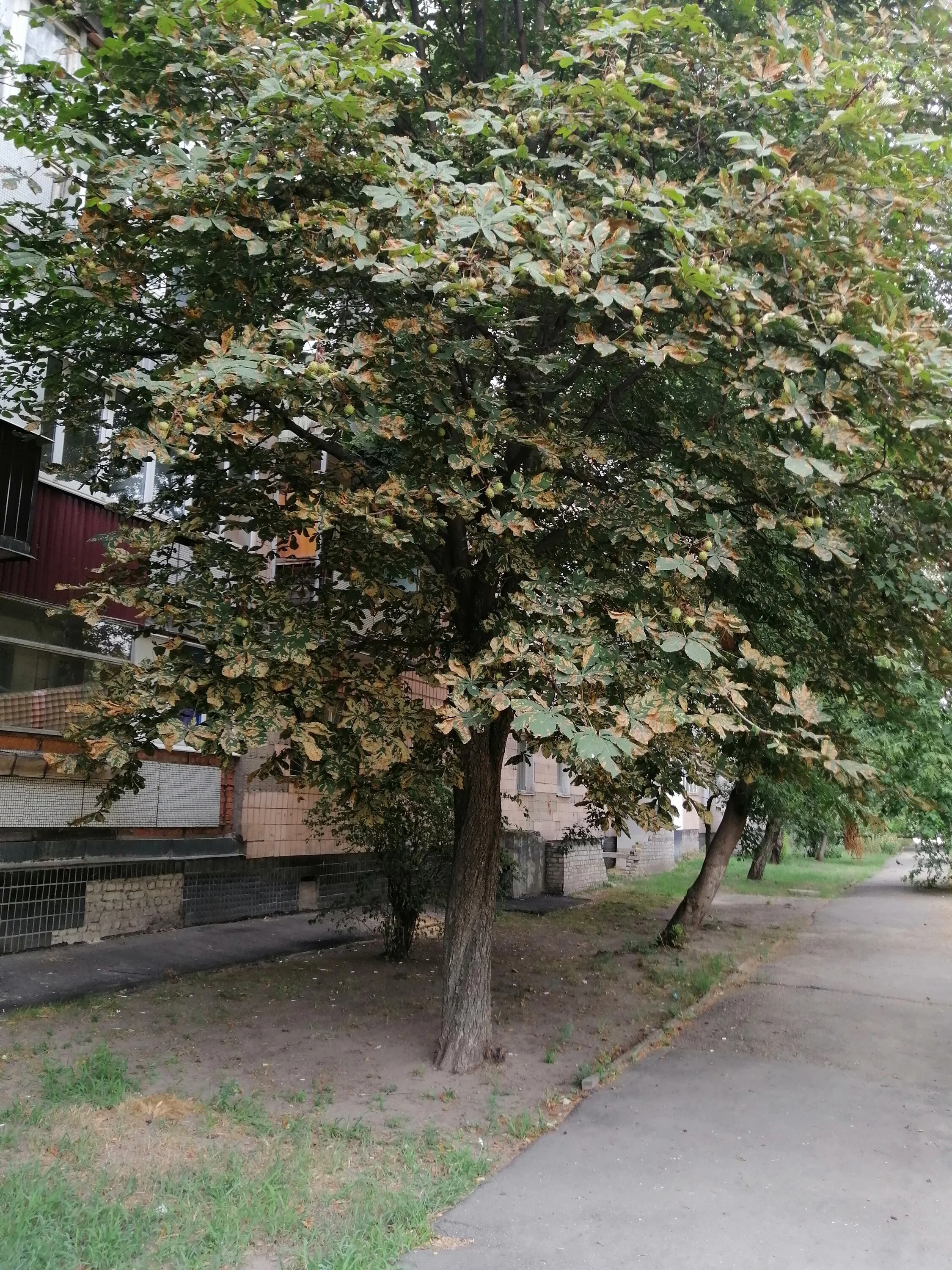 IMG_20210808_141002.webp