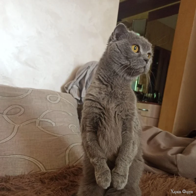 img_20220515_203407_220-webp.14909666