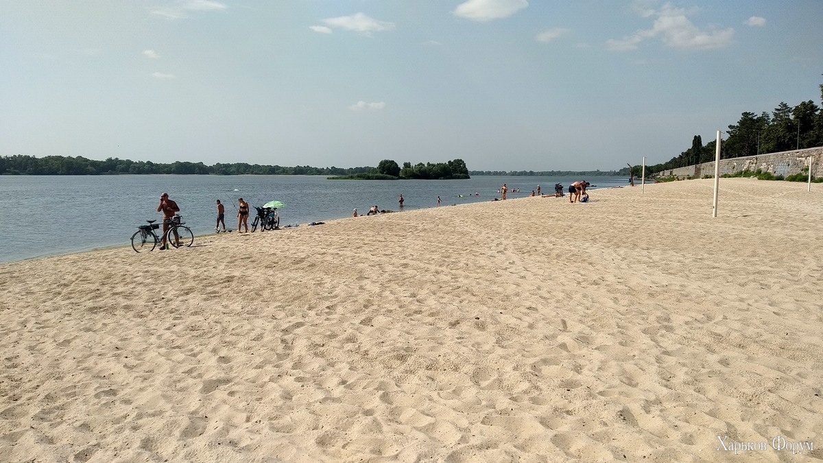 IMG_20220813_152915.jpg
