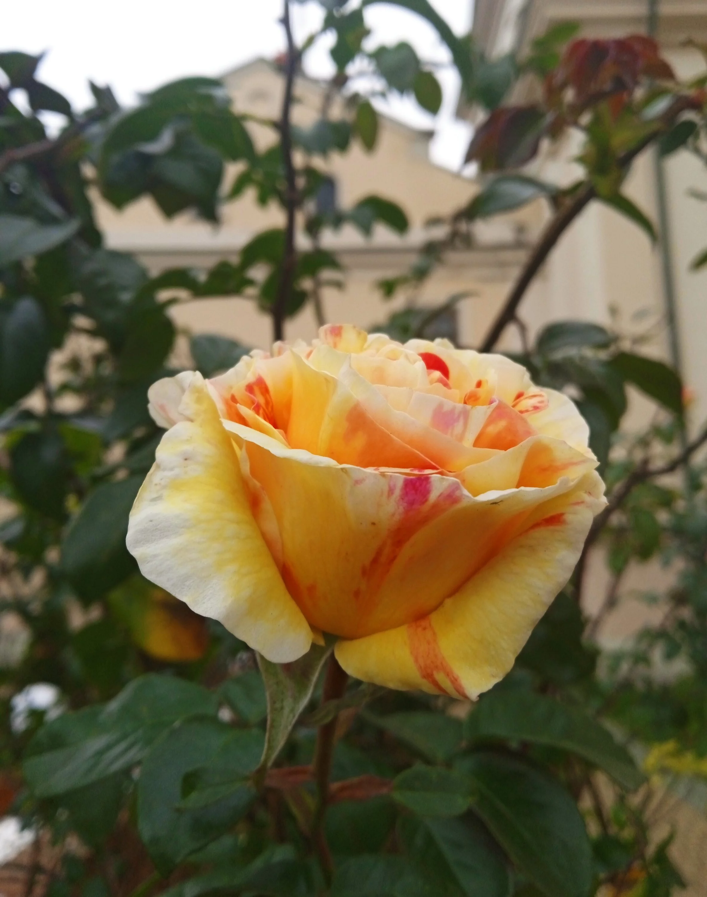 IMG_20221110_204439.webp
