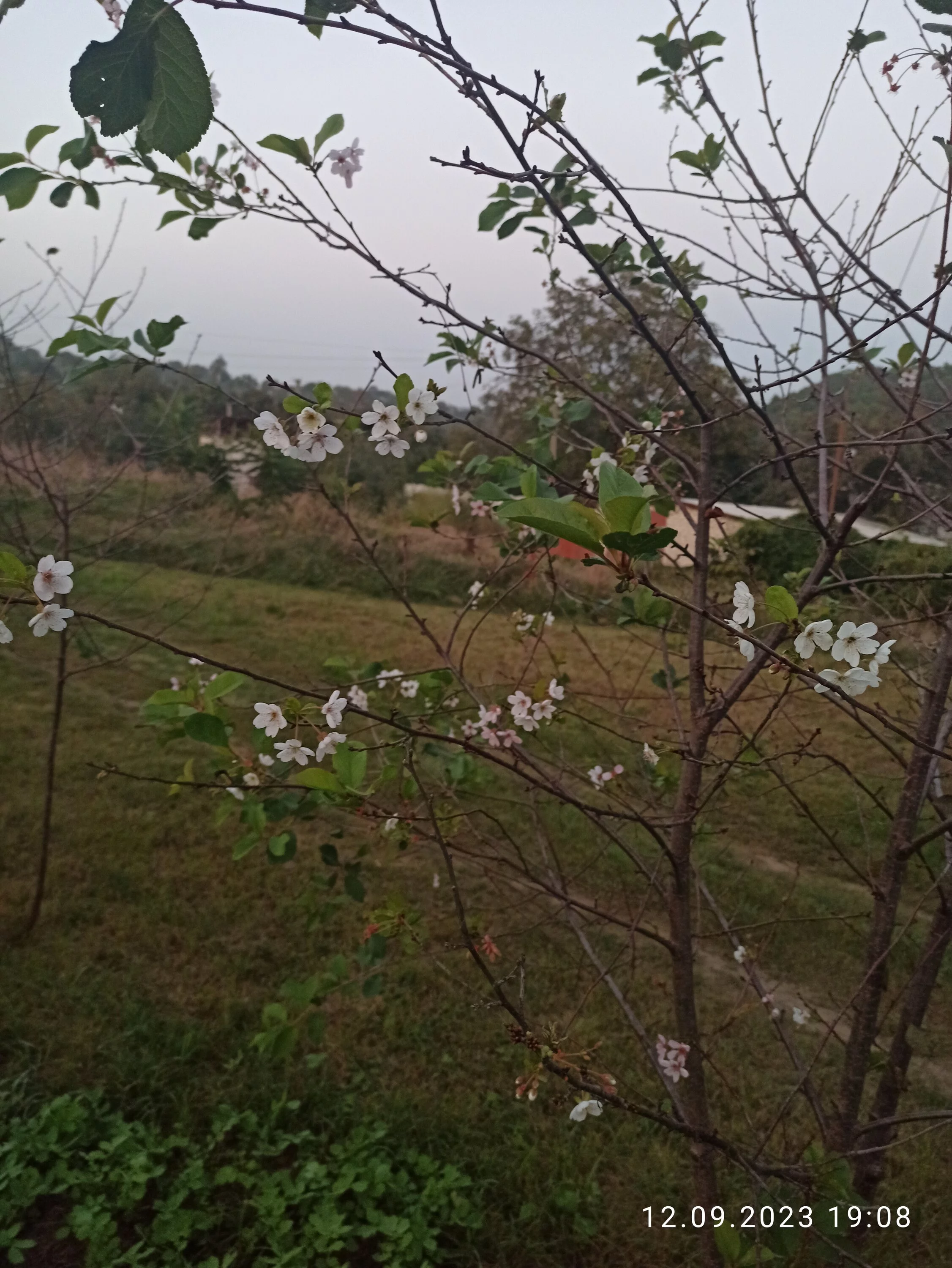 IMG_20230912_190840.webp