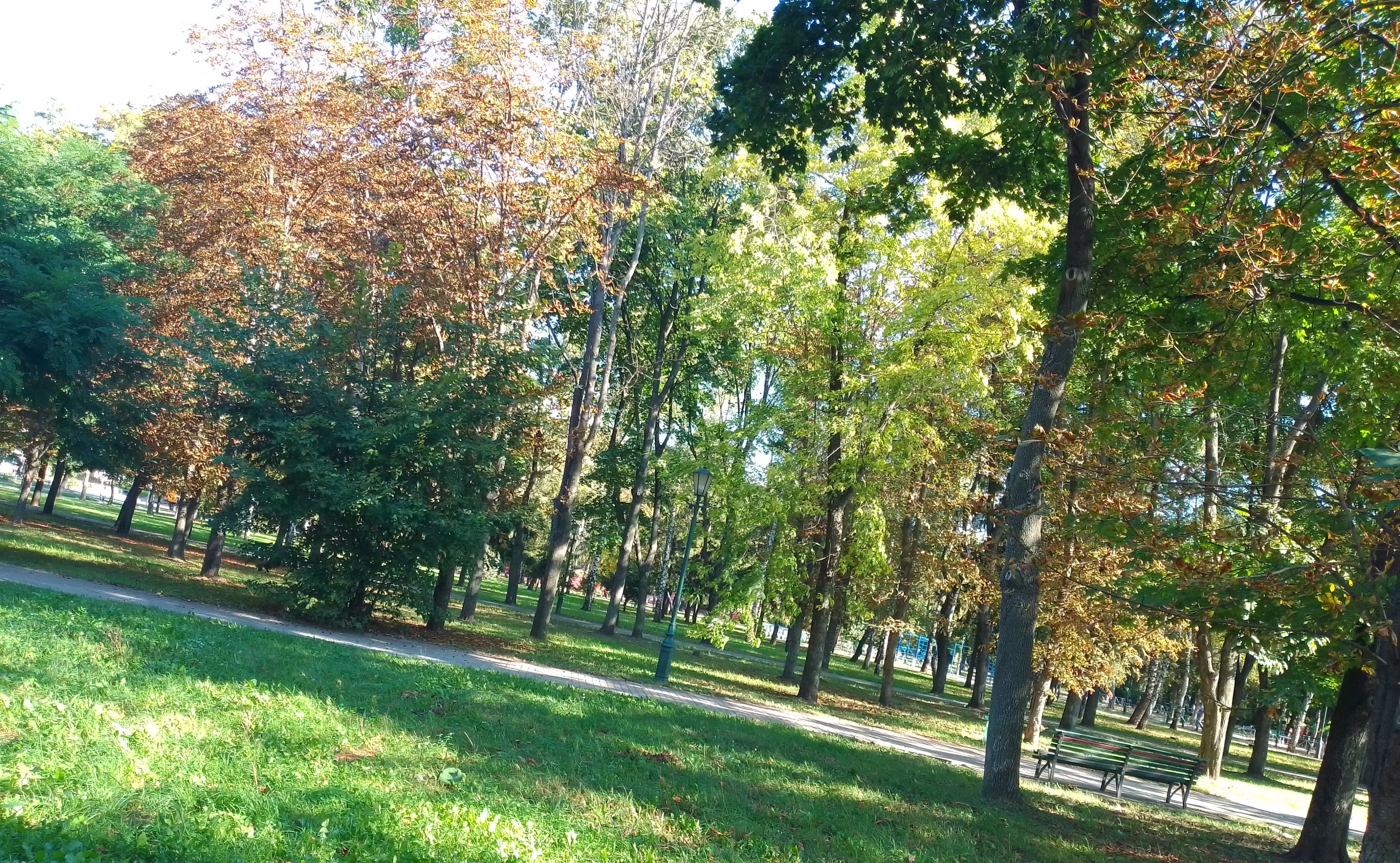 IMG_20230923_101316~2.webp