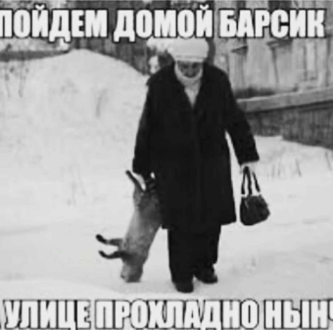 IMG_20231006_155652.webp
