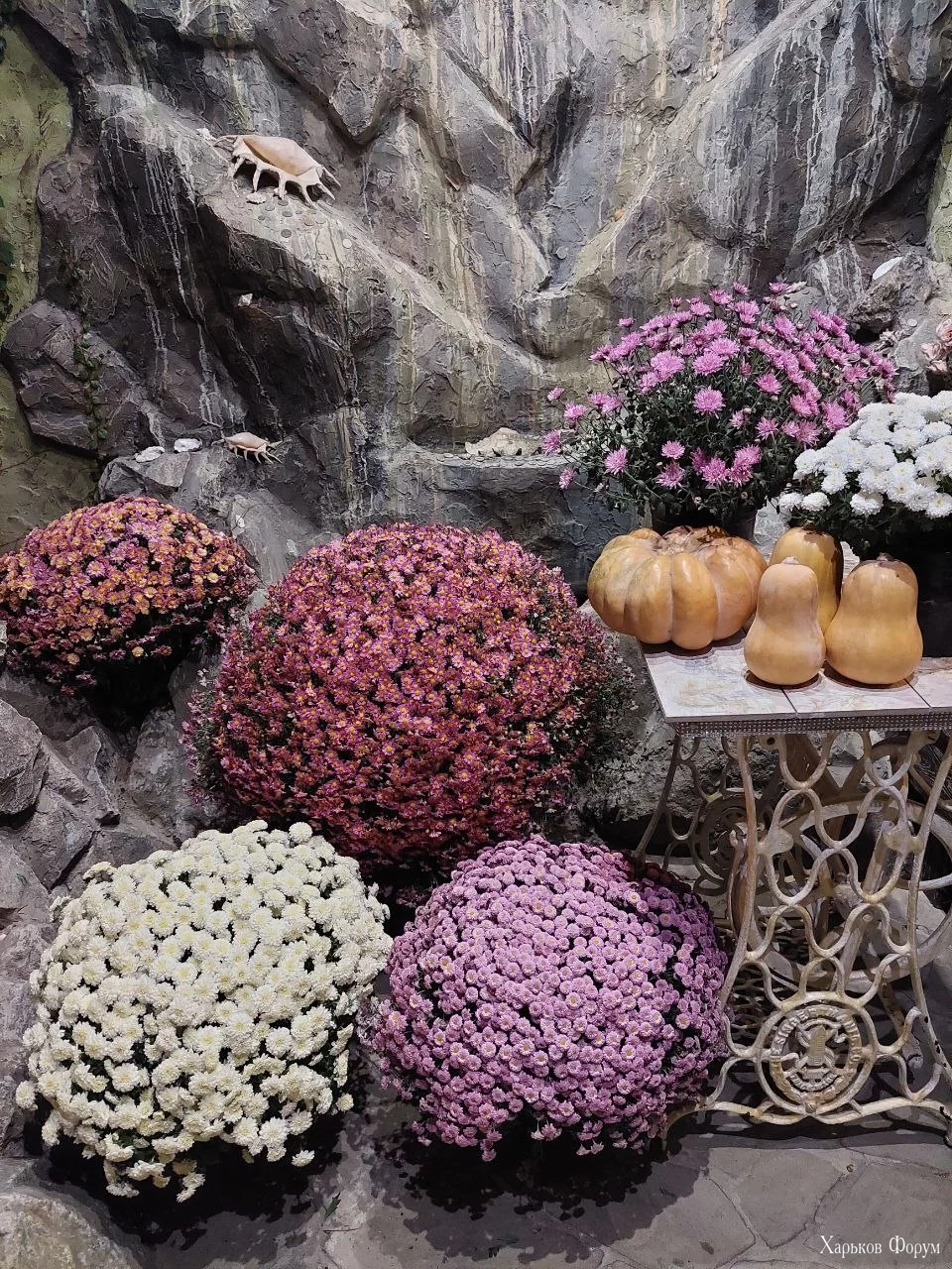 IMG_20231111_103143_888.webp