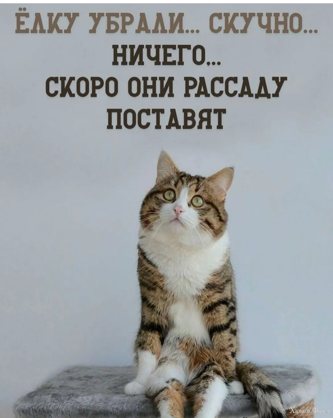 IMG_20240122_151837.webp
