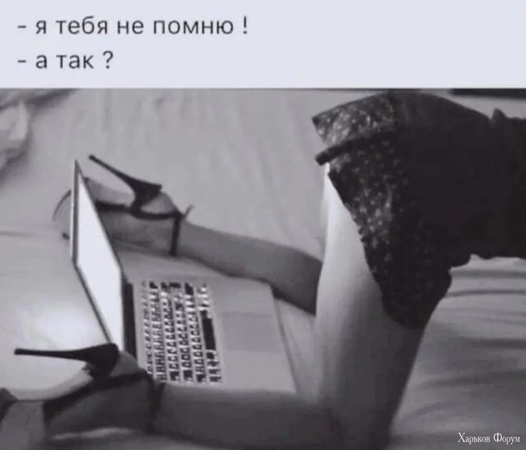 IMG_20240311_073258.webp