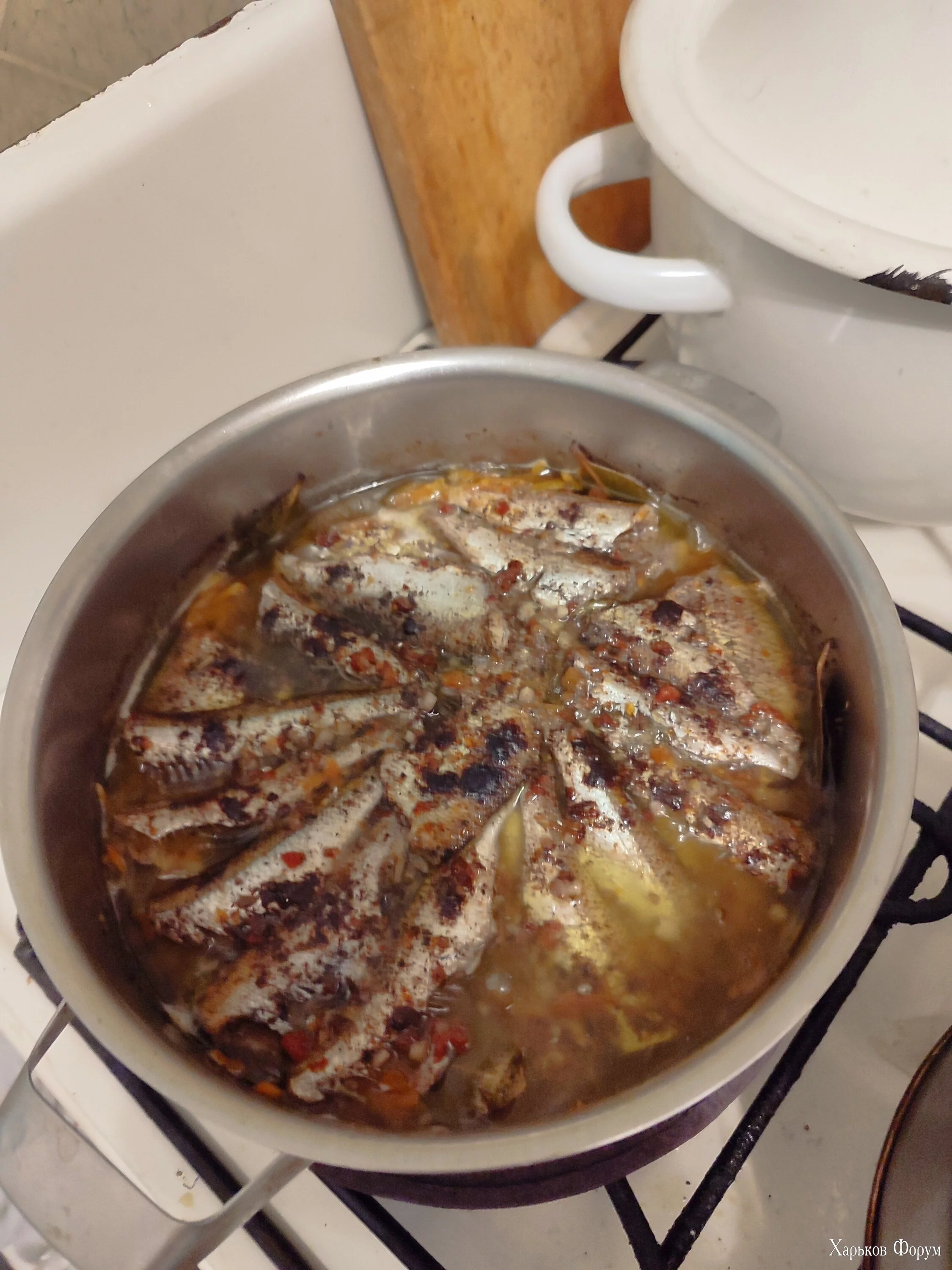 IMG_20240417_210837.webp