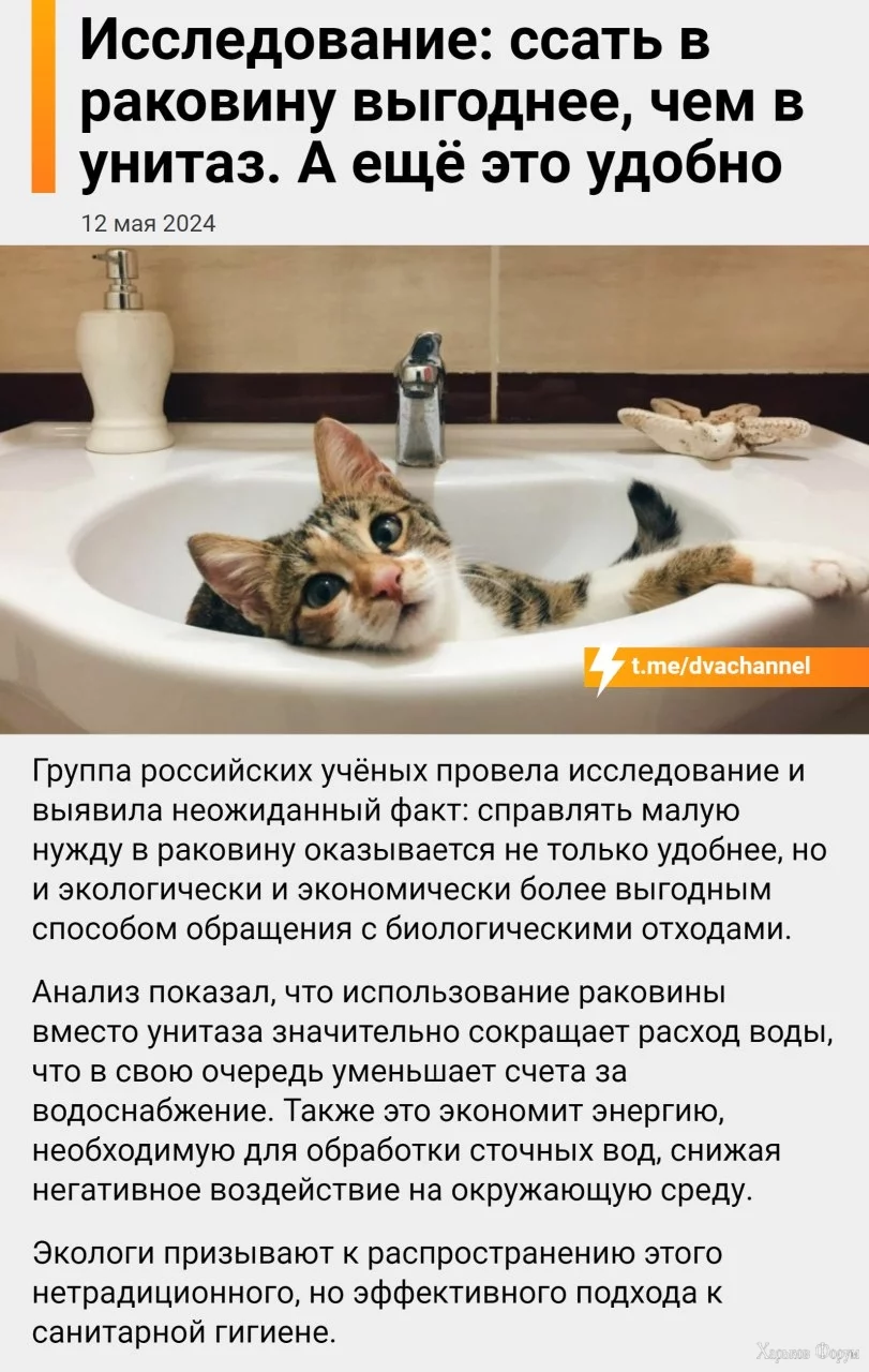 IMG_20240512_193249_480.webp