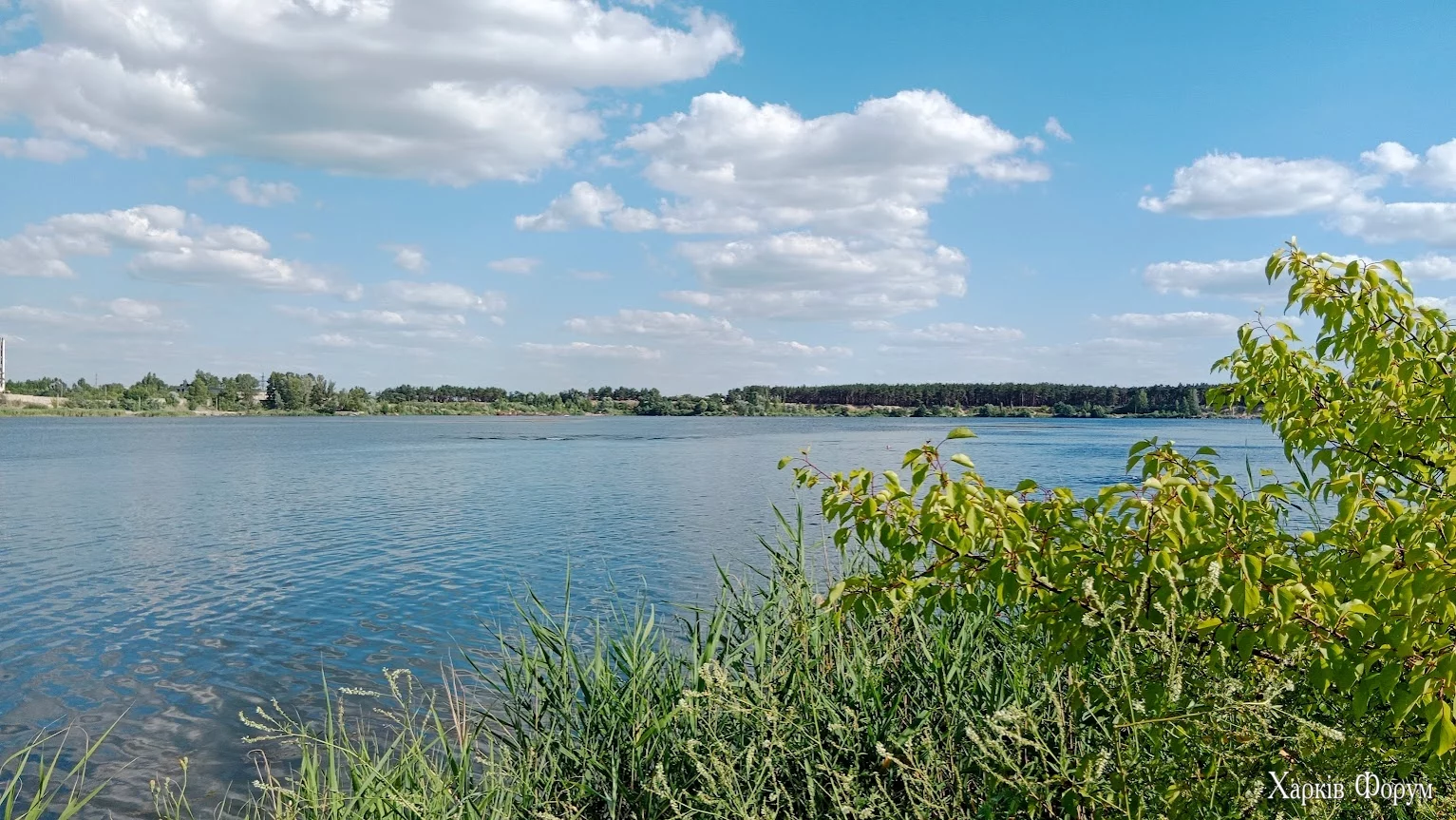 IMG_20240706_164021.webp