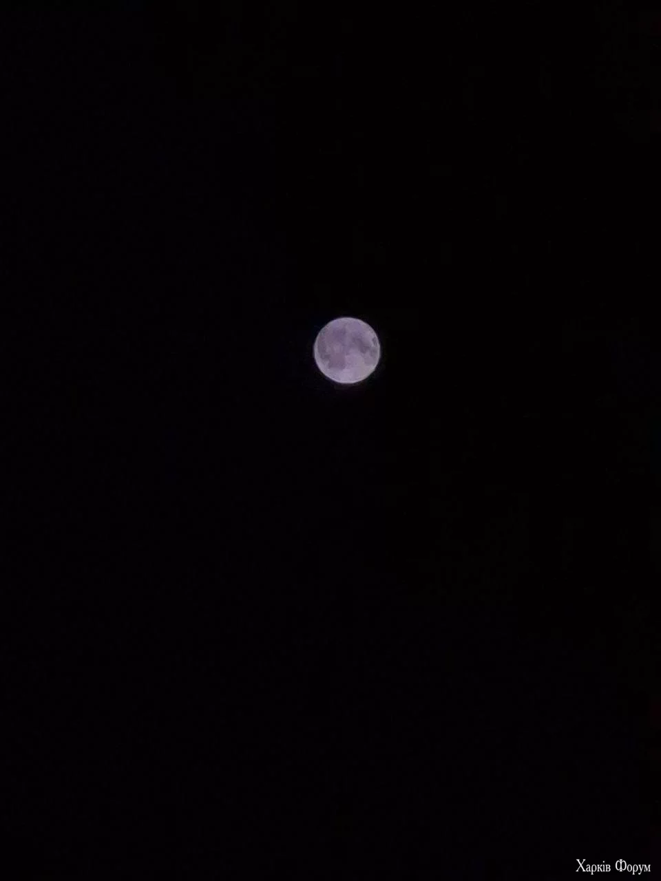 IMG_20240823_004747_222.webp