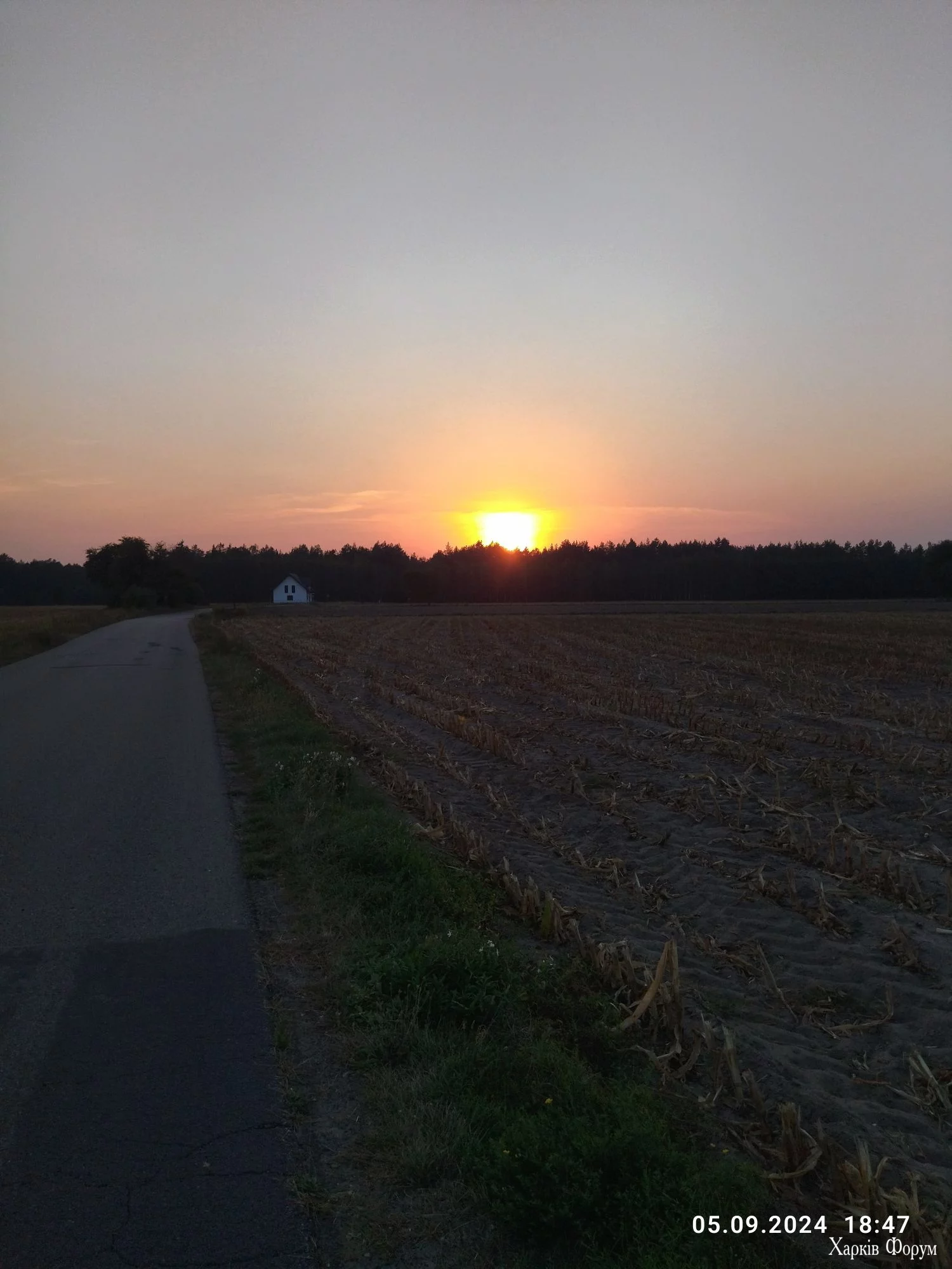 IMG_20240905_184755_compress23.webp