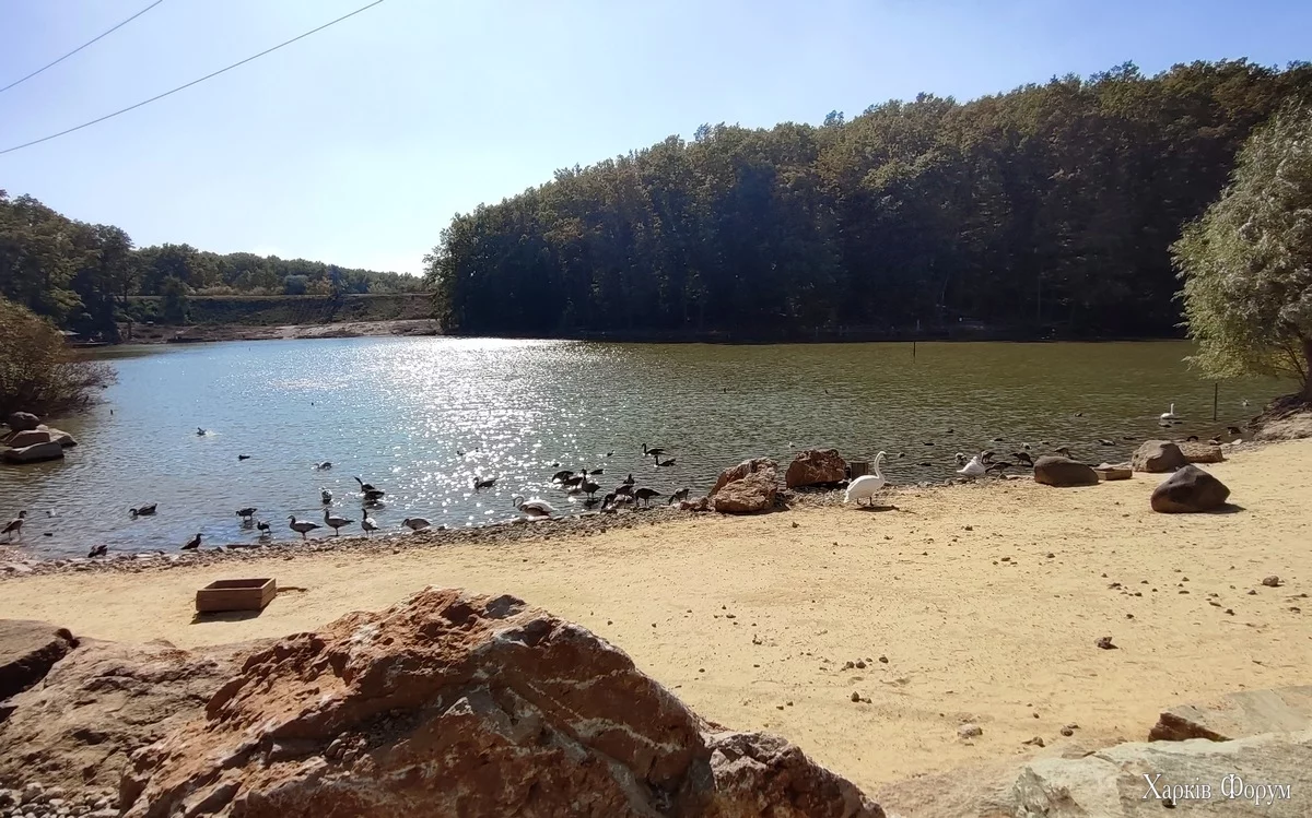 IMG_20240915_135725.webp